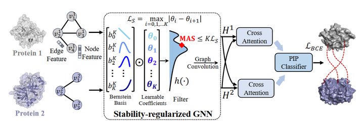 Protein Interface Prediction